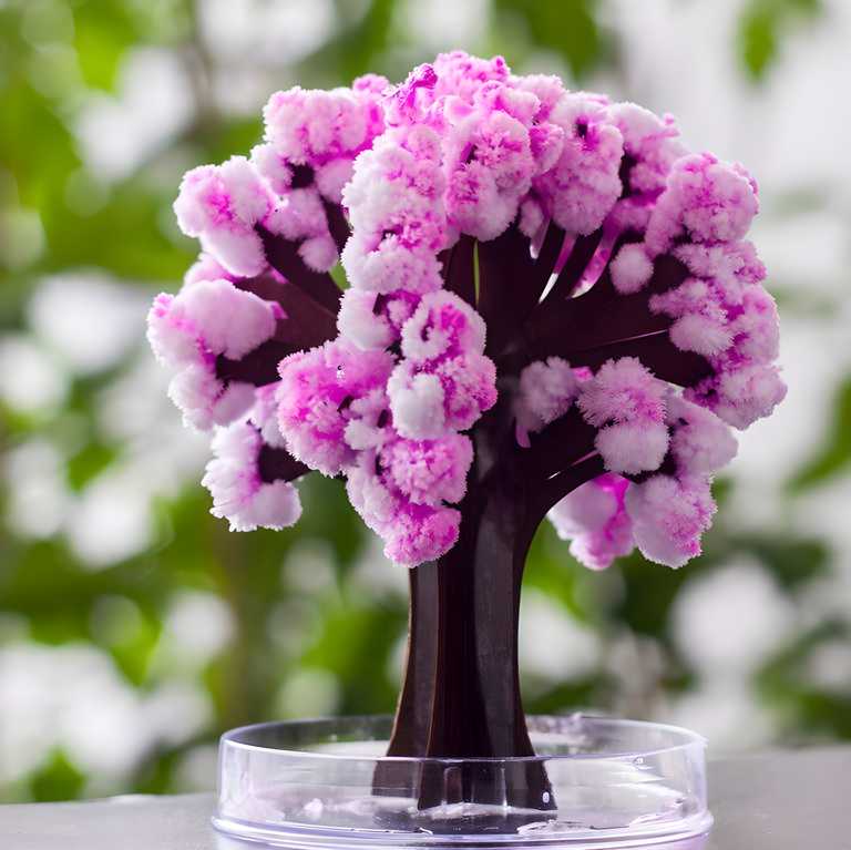 Magic Cherry Blossom Tree - Essence by LaxAar